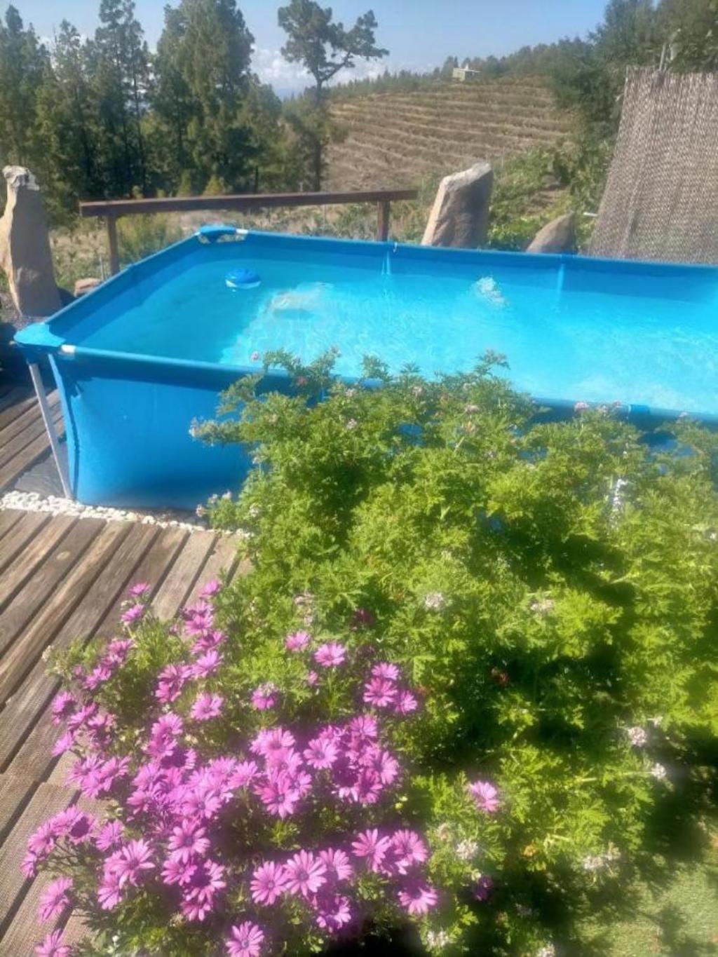 Villa Media Pipa à Puntagorda Extérieur photo